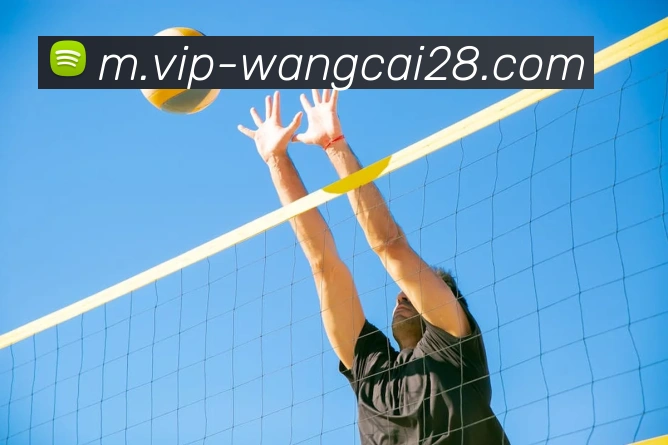 旺财28发展历程