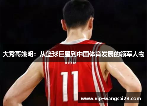 大秀哥姚明:从篮球巨星到中国体育发展的领军人物 大秀哥姚明:从篮球巨星到中国体育发展的领军人物