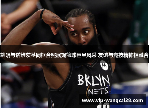 姚明与诺维茨基同框合照展现篮球巨星风采 友谊与竞技精神相融合 姚明与诺维茨基同框合照展现篮球巨星风采 友谊与竞技精神相融合