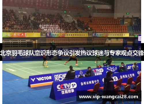 北京羽毛球队意识形态争议引发热议球迷与专家观点交锋