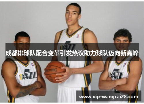 成都排球队配合变革引发热议助力球队迈向新高峰