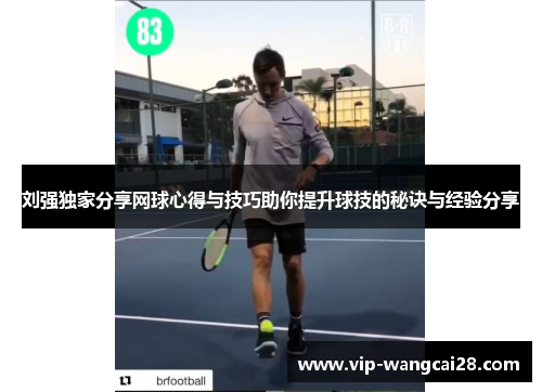 刘强独家分享网球心得与技巧助你提升球技的秘诀与经验分享