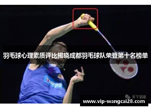 羽毛球心理素质评比揭晓成都羽毛球队荣登第十名榜单